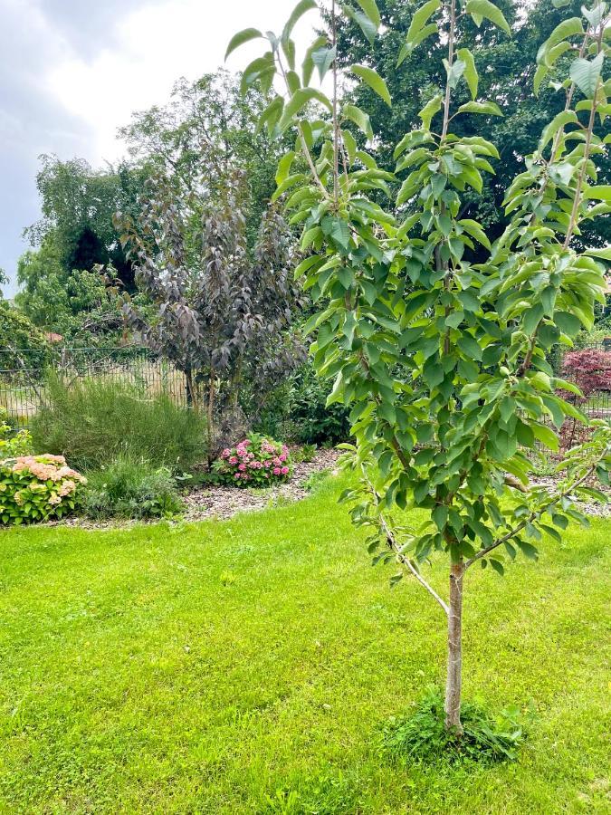 Ferienwohnung Kamrath Mit Wunderschoenem Ausblick Neuruppin Exterior foto
